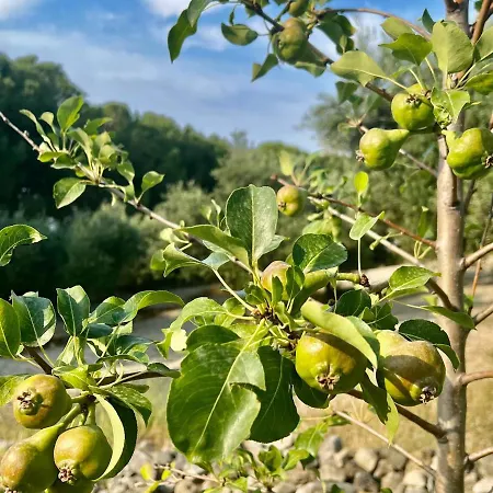 Dom wakacyjny Greek House Tatiana