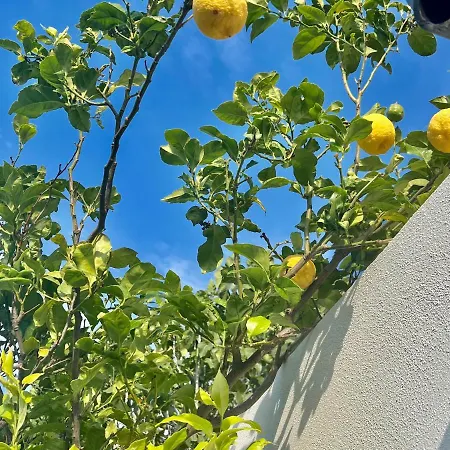 Holiday home Greek House Tatiana Kos Town