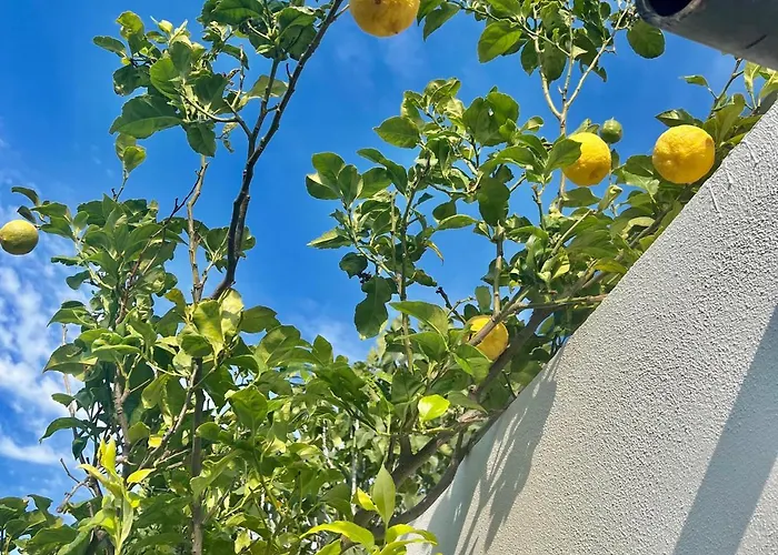 Ferienhaus Greek House Tatiana Kos-Stadt